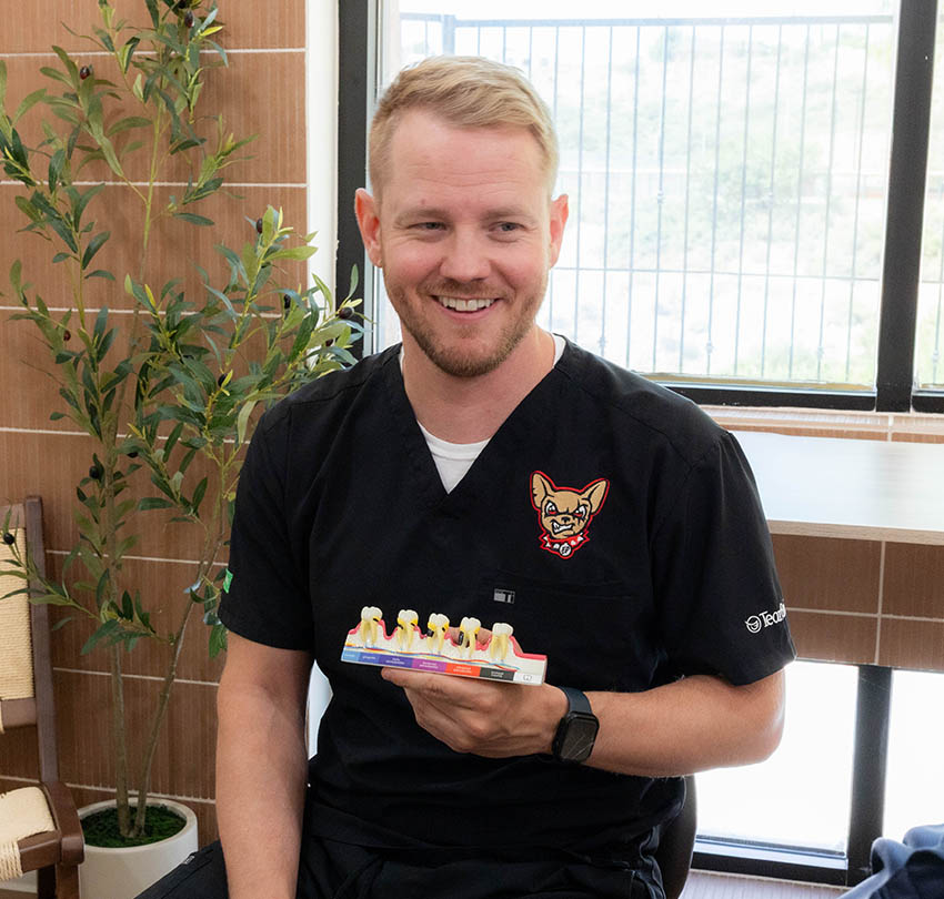 Dental clinician holding a tooth model during a consultation